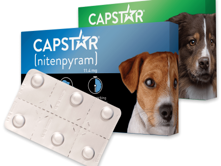 PetIQ CAPSTAR® (nitenpyram) Fast-Acting Oral Flea Treatment for Dogs Fashion