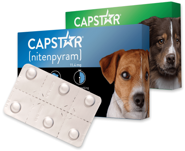 PetIQ CAPSTAR® (nitenpyram) Fast-Acting Oral Flea Treatment for Dogs Fashion